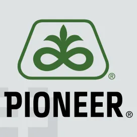 Pioneer Copy